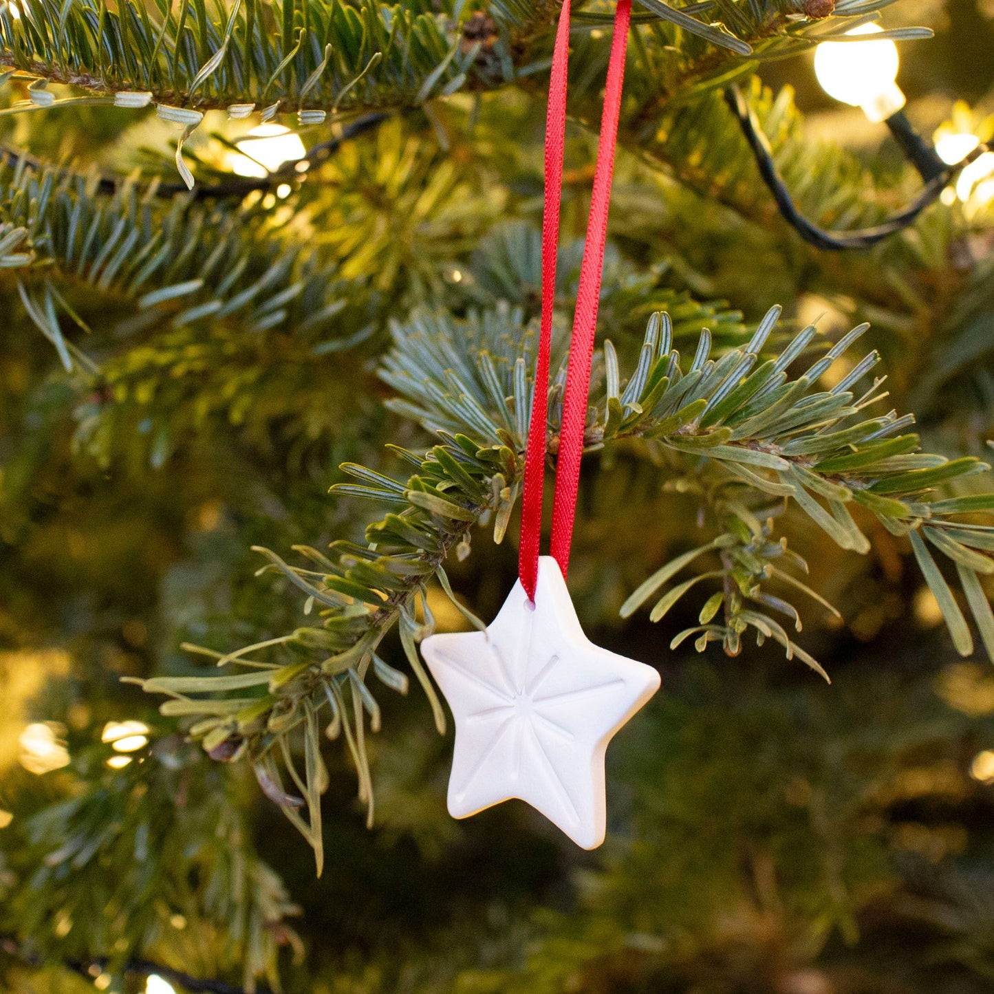 Rainbow Star Decorations