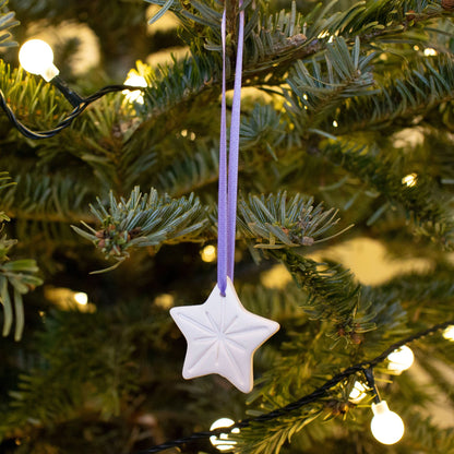 Rainbow Star Decorations