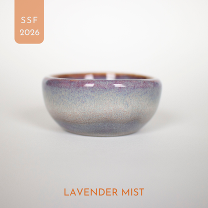 SECONDS: Sauce dishes - now 75% off